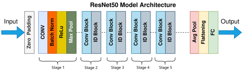 Архитектура ResNet на примере ResNet50
