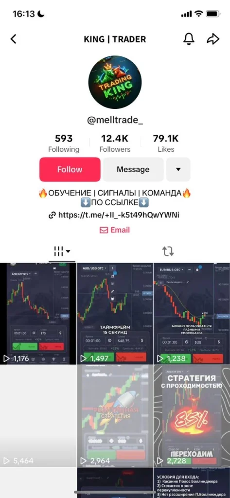 Пример аккаунт KING | TRADER, с которого заливают на бинарные опционы