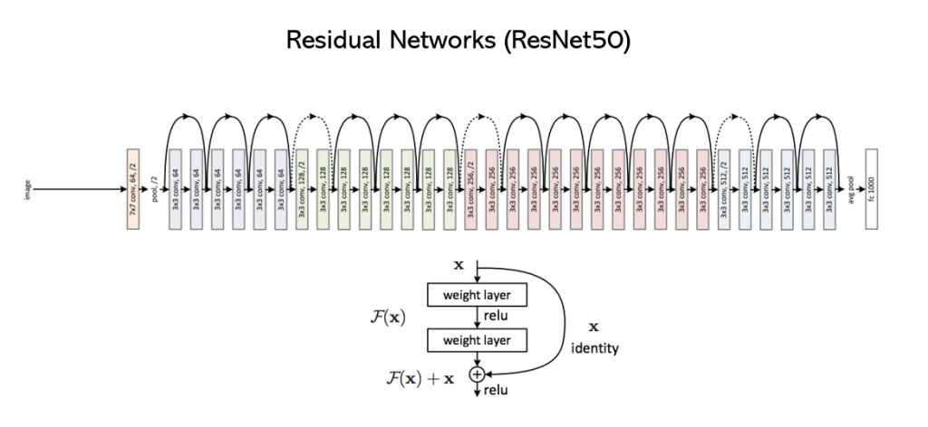 Структура ResNet50