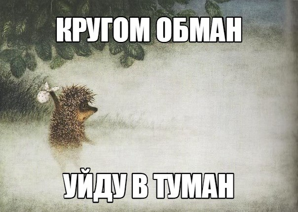 Смешная картинка про ежика в тумане