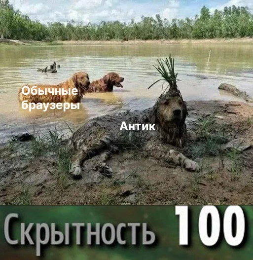 Собаки прячутся в воде используя маскировку